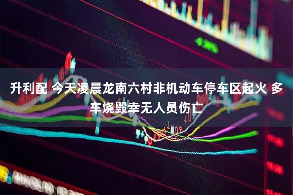 升利配 今天凌晨龙南六村非机动车停车区起火 多车烧毁幸无人员伤亡